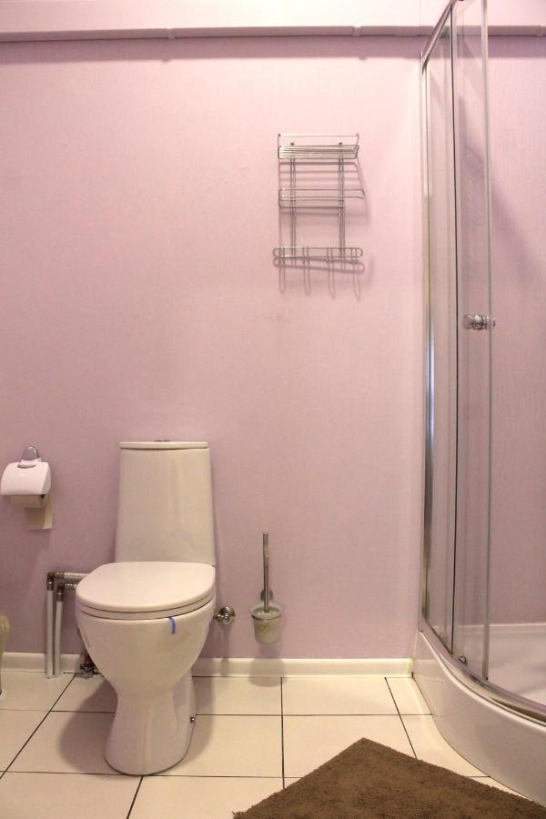 Parko Studija Appartement Birštonas Buitenkant foto