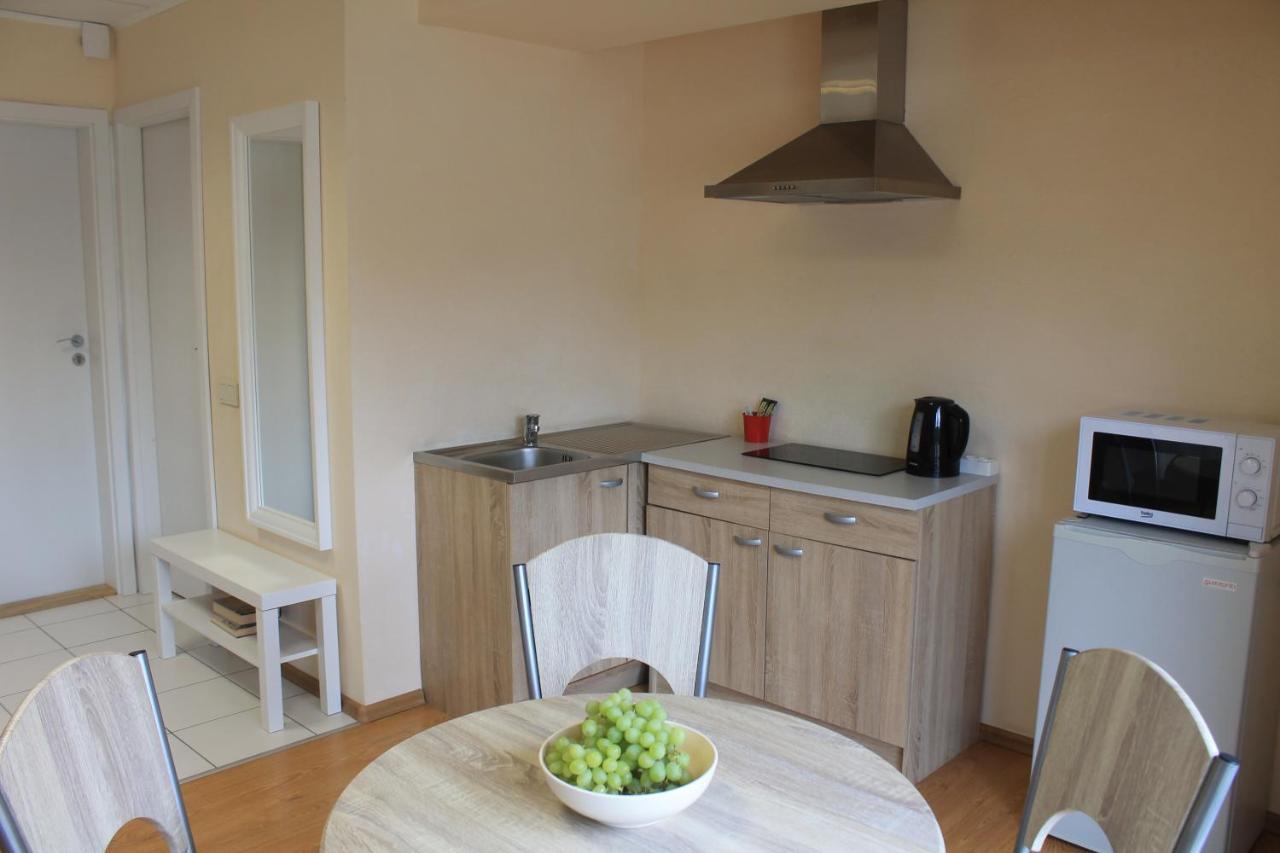 Parko Studija Appartement Birštonas Buitenkant foto