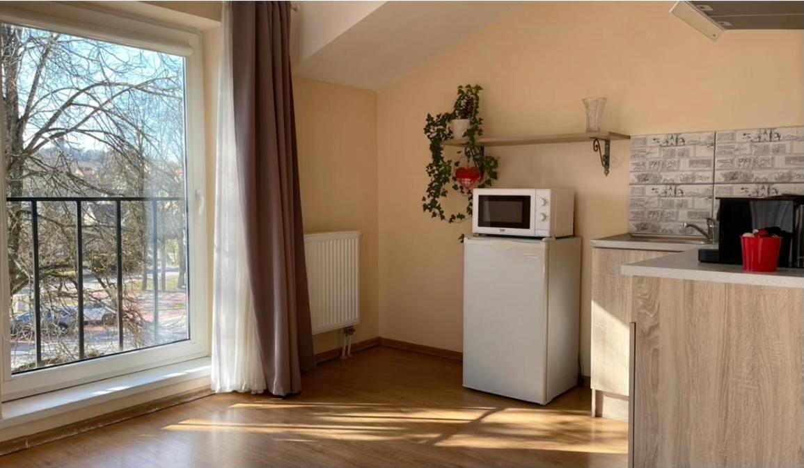 Parko Studija Appartement Birštonas Buitenkant foto